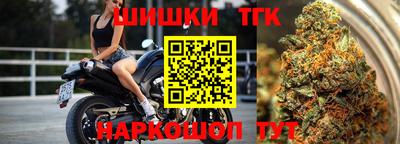 тгк Славгород