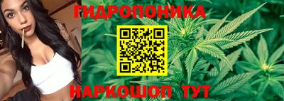 ALPHA PVP Сланцы
