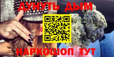 тгк Славгород