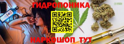 тгк Славгород