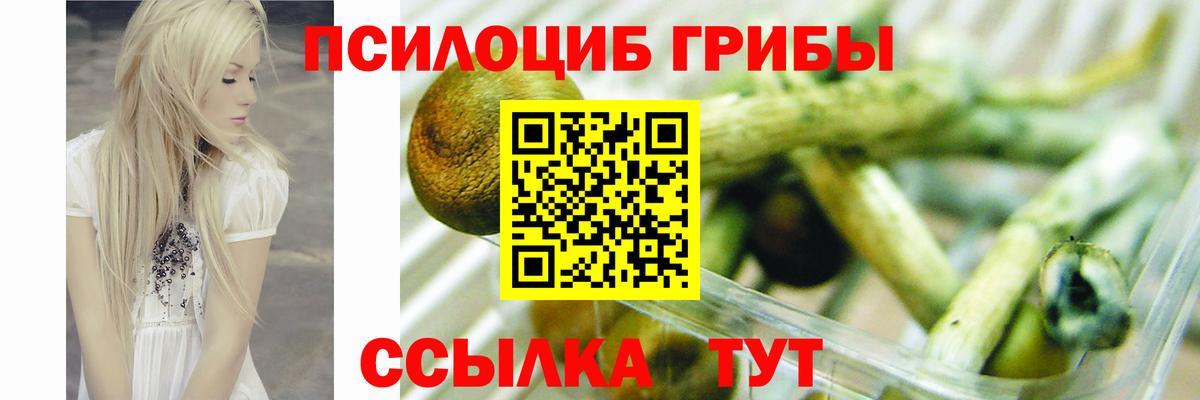 Псилоцибиновые грибы мухоморы  Псилоцибиновые грибы Psilocybe  Новодвинск  Вход с VPN 